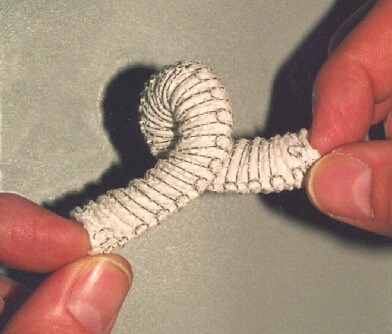 curlystent2.jpg (117212 bytes)